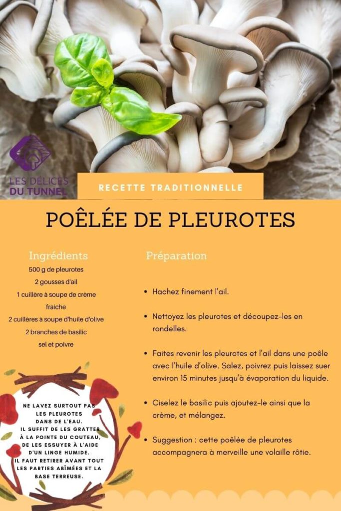 Poelee de Pleurotes