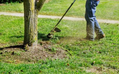 Révélez la Beauté de vos Espaces Verts avec Nos Services d’Entretien Personnalisés