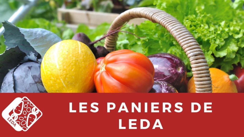 paniers de leda